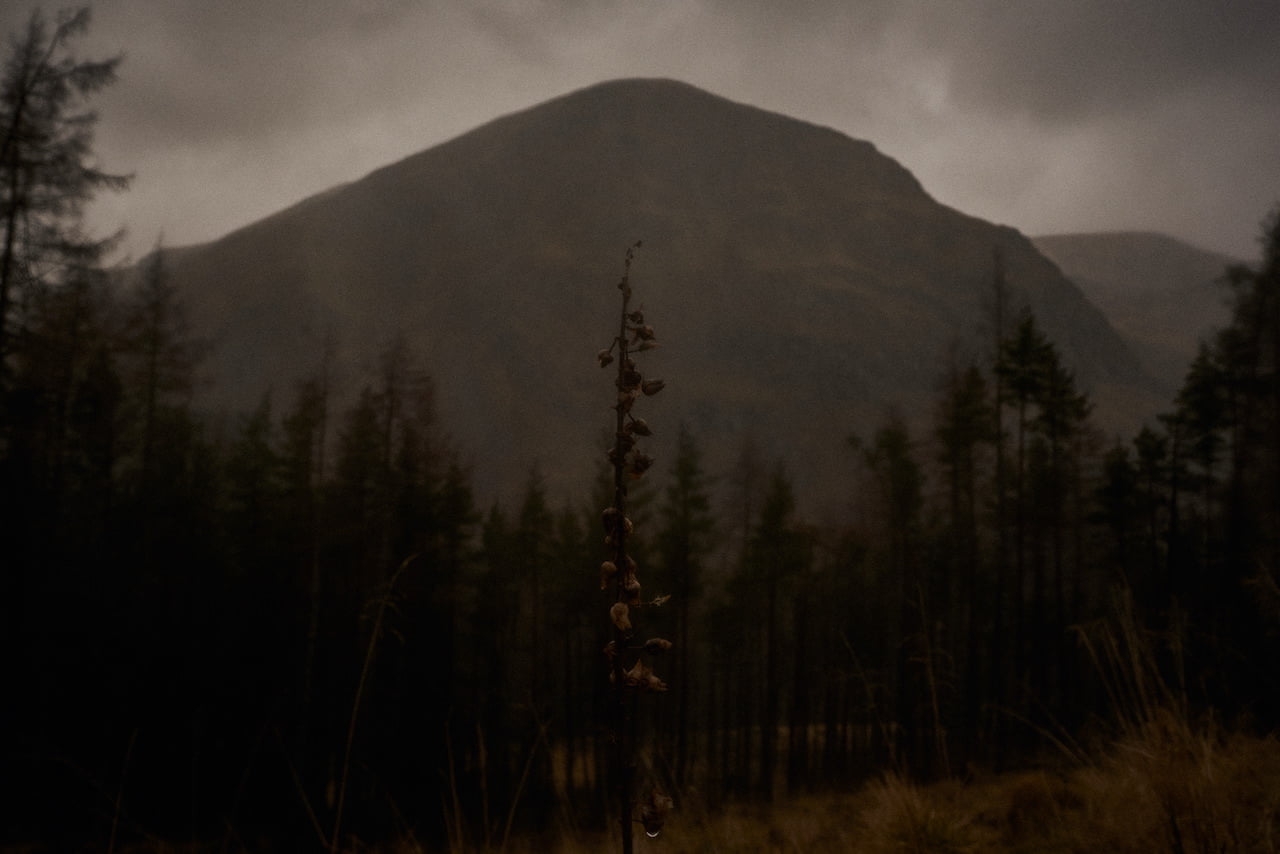 Privacy Policy 1 where to elope glenclova 03 1