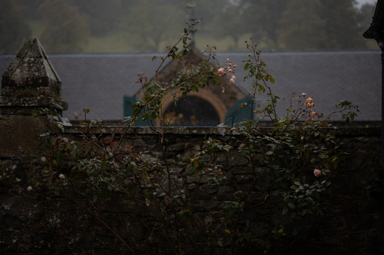 The Byre at Inchyra Wedding Venue 20 The Byre at Inchyra Roses