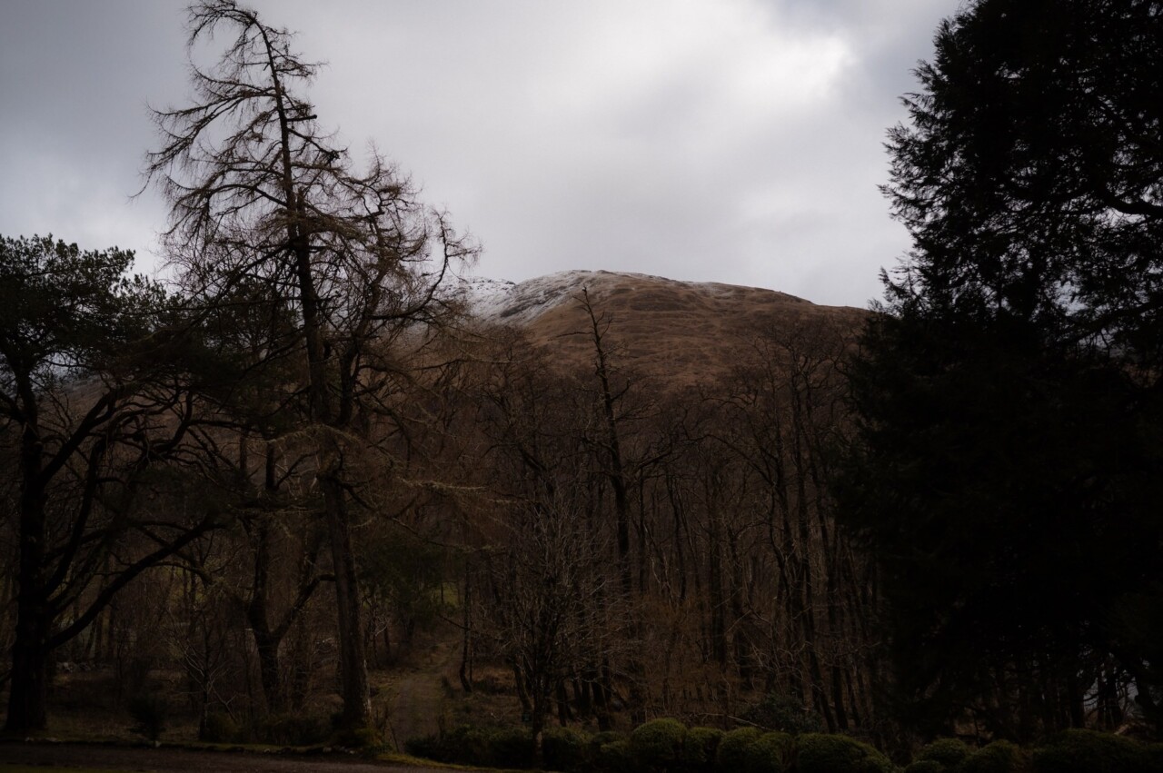 intimate winter wedding in highlands 018