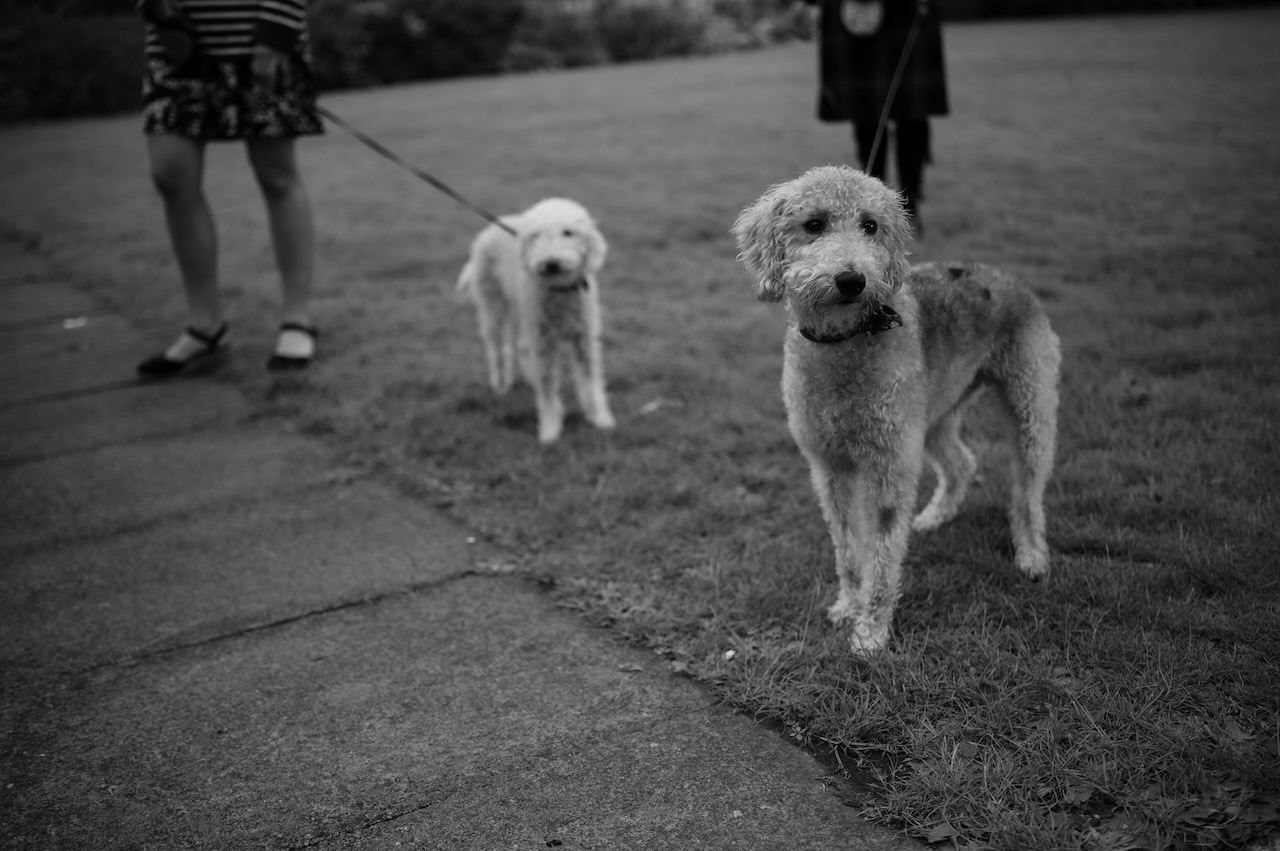 Harburn Barn Reception Documentary Photography[phy