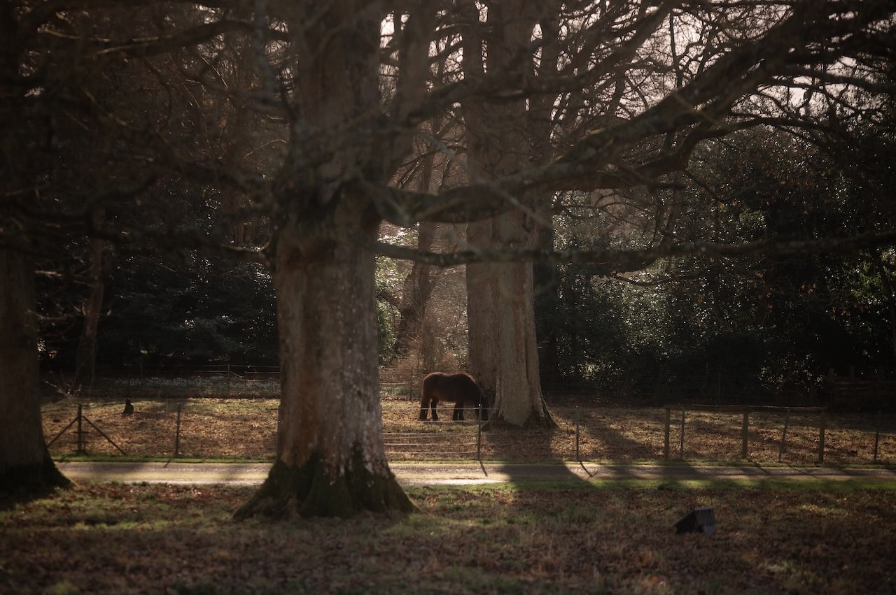 Perthshire Barn Wedding Venues - The Byre at Inchyra 4 The Byre at Inchyra Barn Morning View