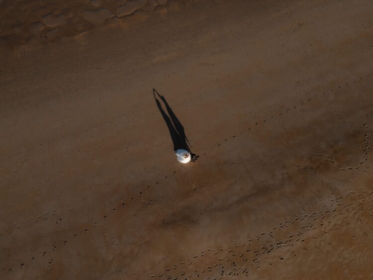 Harvest Moon Venue - Lorna and David's Barn Wedding 2 Harvest Moon Venue Beach Session