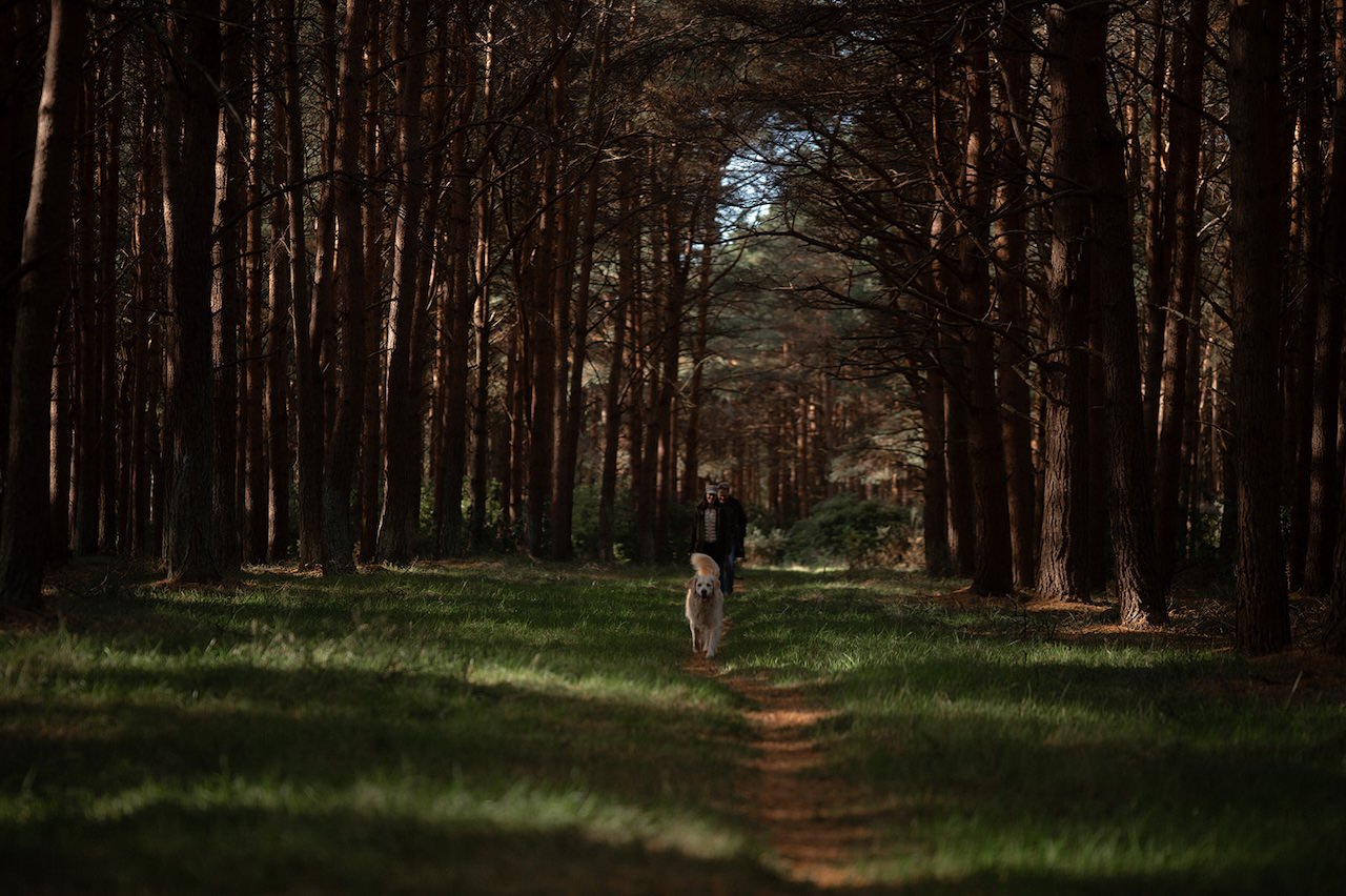 Harvest Moon Venue Woodland path to wedding ceremony