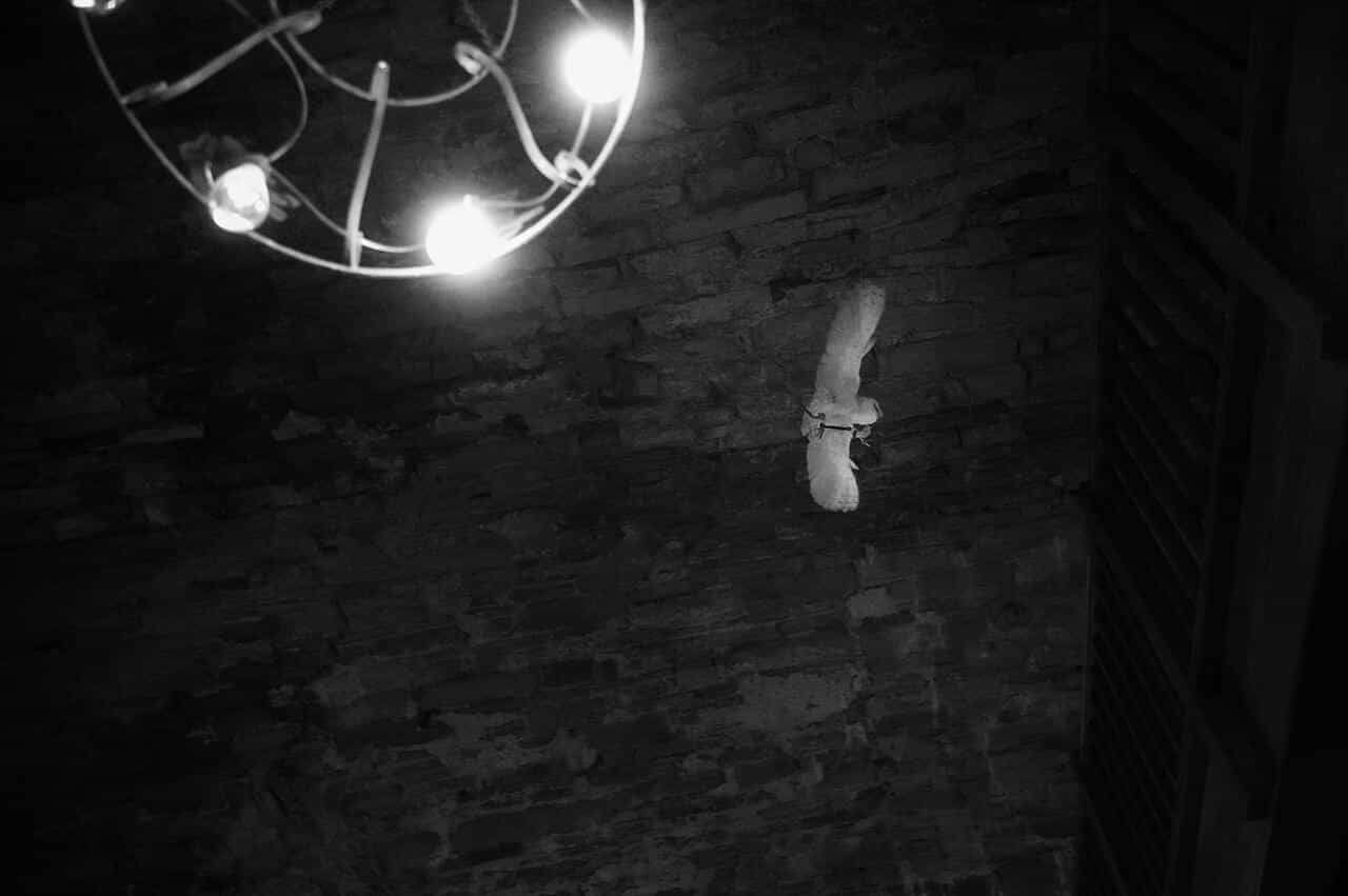 Gothic Wedding Owl at the Ceremony