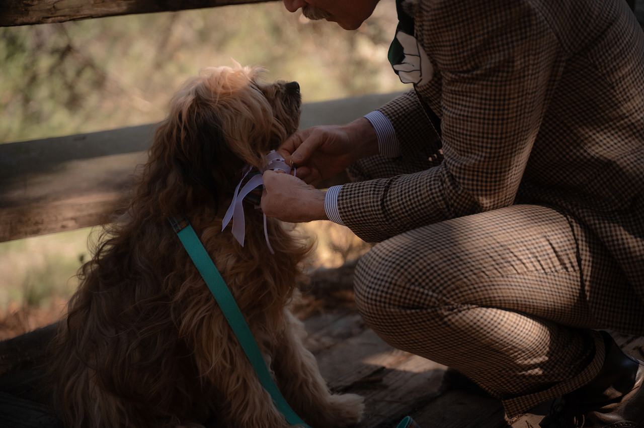 Elegant, Intimate Scottish Highlands Elopement in the Cairngorms 13 Elopement in the Cairngorms Dog Carrying Wedding Rings